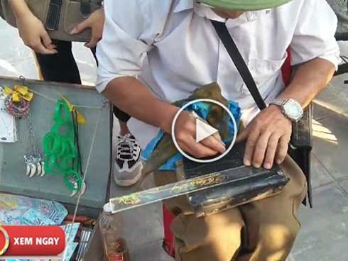 Cậu bé không làm bài tập bị mẹ bắt đi hót phân bò và cái kết-1