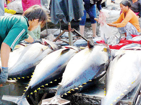 Trung Quốc đổi chiều, dân Việt lại ôm sầu-2