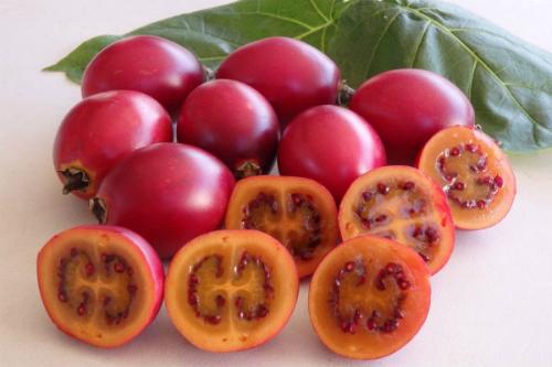 Xôn xao loại cà chua lạ có giá nửa triệu 1 kg-1