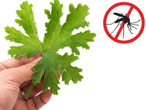 10 mẹo tuyệt vời để biến những vật dụng cũ rích trở nên mới cứng như vừa mua-11