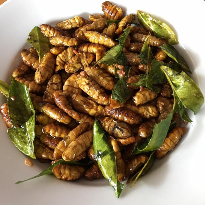 Nhộng tằm béo béo bùi bùi, rang cùng lá chanh thì ngon hết ý-2