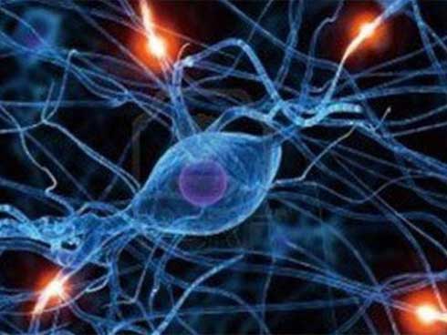 Liệu pháp điều trị đạt giải Nobel có chữa khỏi ung thư mà không cần dao kéo, hoá - xạ trị?-1