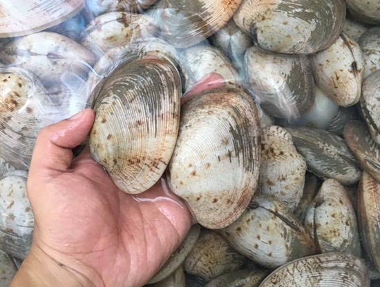 Làm sạch và khử hết mùi hôi của lòng heo, thịt cá chỉ nhờ những mẹo vặt cực đơn giản-5