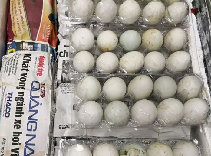 Mang trứng vịt lộn vào Singapore, 1 phụ nữ Việt bị phạt 150 triệu-1
