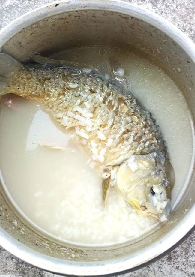 Được mẹ chồng nấu cháo cá chép tẩm bổ khi mang thai, lúc mở vung ra nàng dâu nhận nỗi ám ảnh kinh hoàng-1