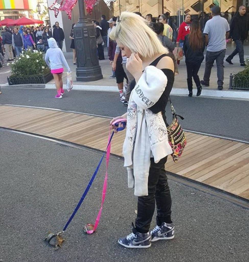 Ngỡ ngàng với hình ảnh buồn cười nhất hành tinh-1