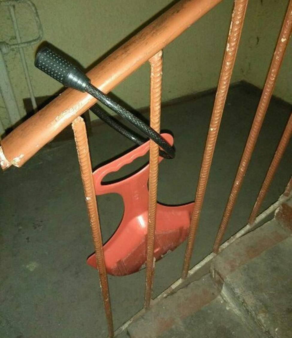 Ngỡ ngàng với hình ảnh buồn cười nhất hành tinh-3