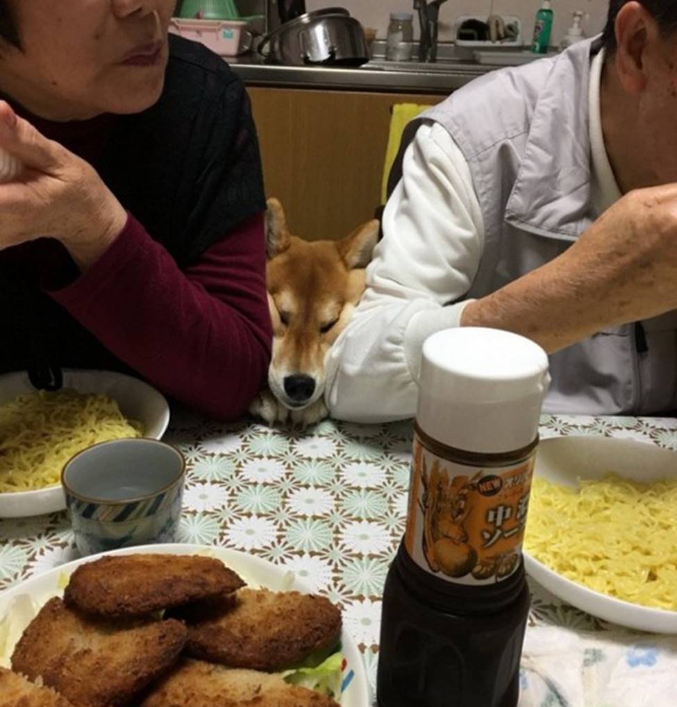 Ngỡ ngàng với hình ảnh buồn cười nhất hành tinh-5