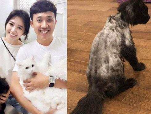 Fan ồ ạt chăm chăm chúc hai vợ chồng điều này ngay sau khi Trấn Thành đánh dấu 1000 ngày yêu Hari Won-4