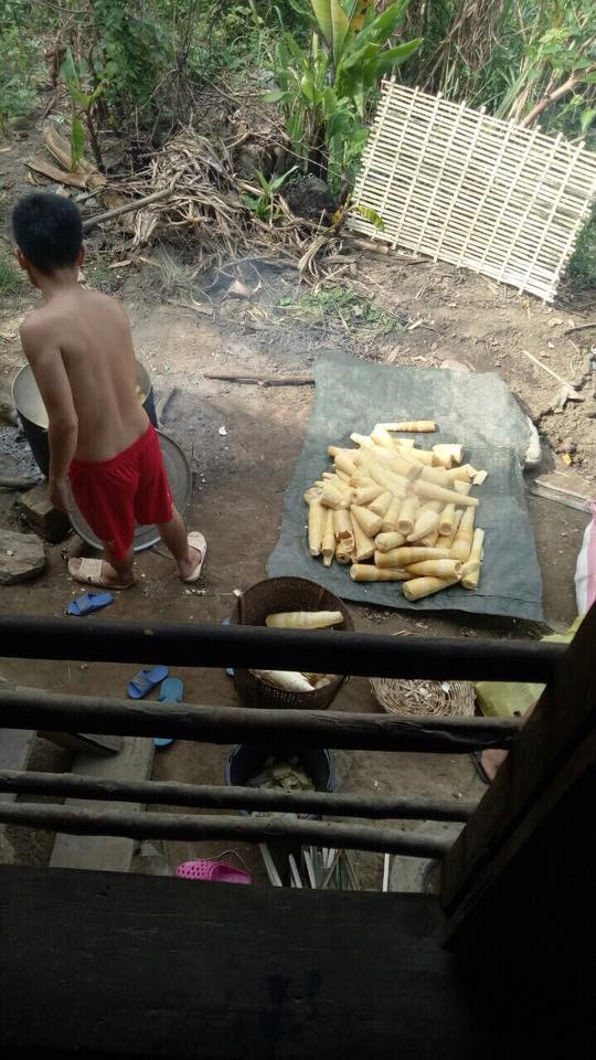 Bị Trường Sĩ quan Thông tin trả về, nam sinh Nghệ An vào rừng hái măng kiếm sống-4