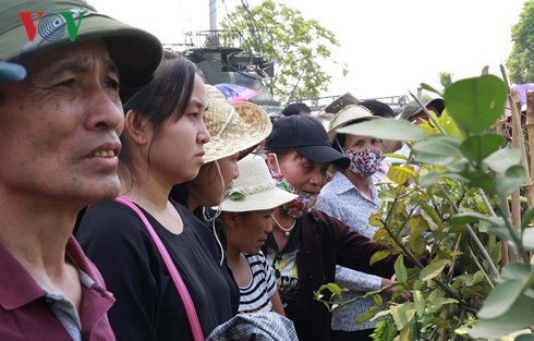 Nguyên Tổng bí thư Đỗ Mười về với đất mẹ-4