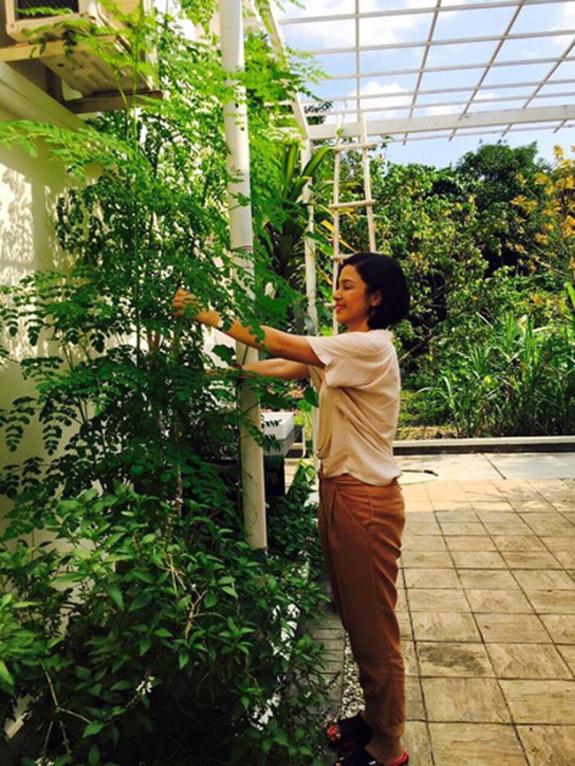 Người đẹp Tây Đô Việt Trinh và ngôi nhà an yên bên khu vườn ngập tràn rau trái-5