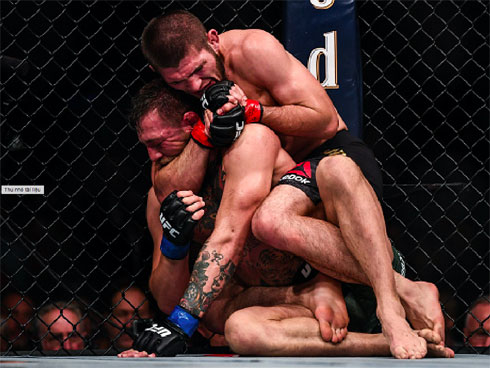 McGregor đòi tái đấu Khabib sau thất bại điên rồ”-3