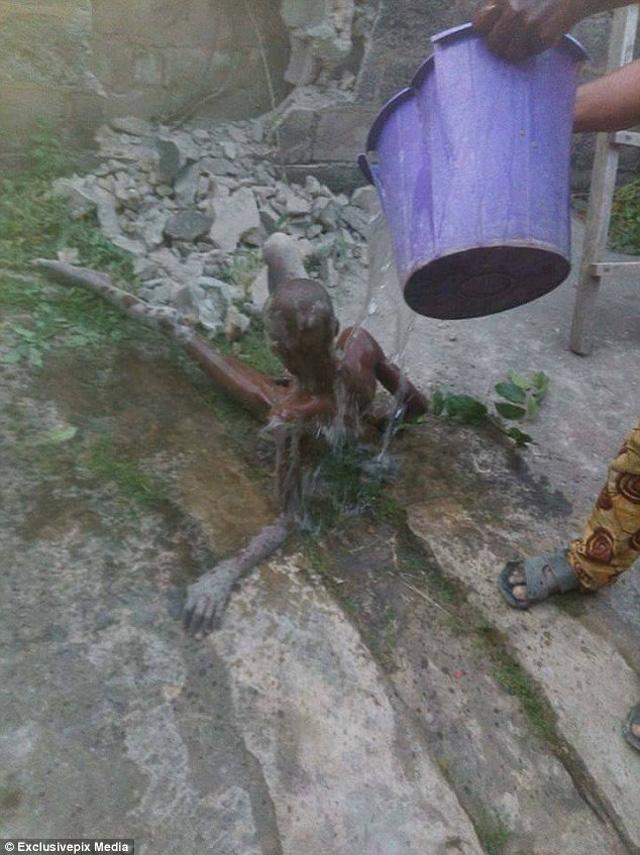 Nghe tiếng hát kỳ lạ phát ra trong tường, người dân đập vỡ mới phát hiện sự thật đáng sợ-3