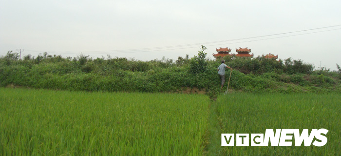 Thoải mái tàn phá nghĩa địa mộ cổ khổng lồ chứa cả tấn báu vật ở Hải Dương-1