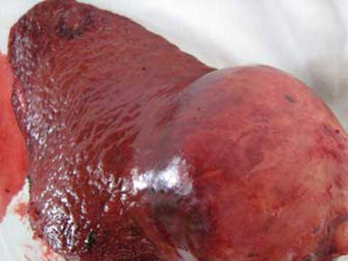 Tài tử từng thách thức Lý Tiểu Long qua đời ở tuổi 44 vì uống rượu-3