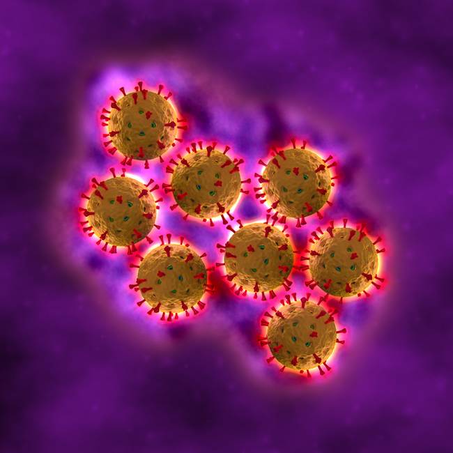 Giúp cha mẹ nhận biết và điều trị virus rota - căn bệnh khiến trẻ suy kiệt nhanh chóng-1