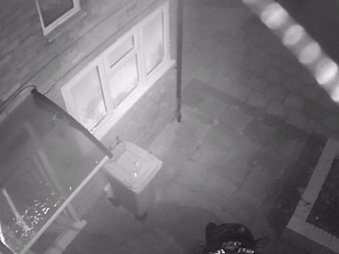 Nửa đêm, người phụ nữ lái ô tô đi trộm 2 chậu cây cảnh trị giá... 500 nghìn đồng-1