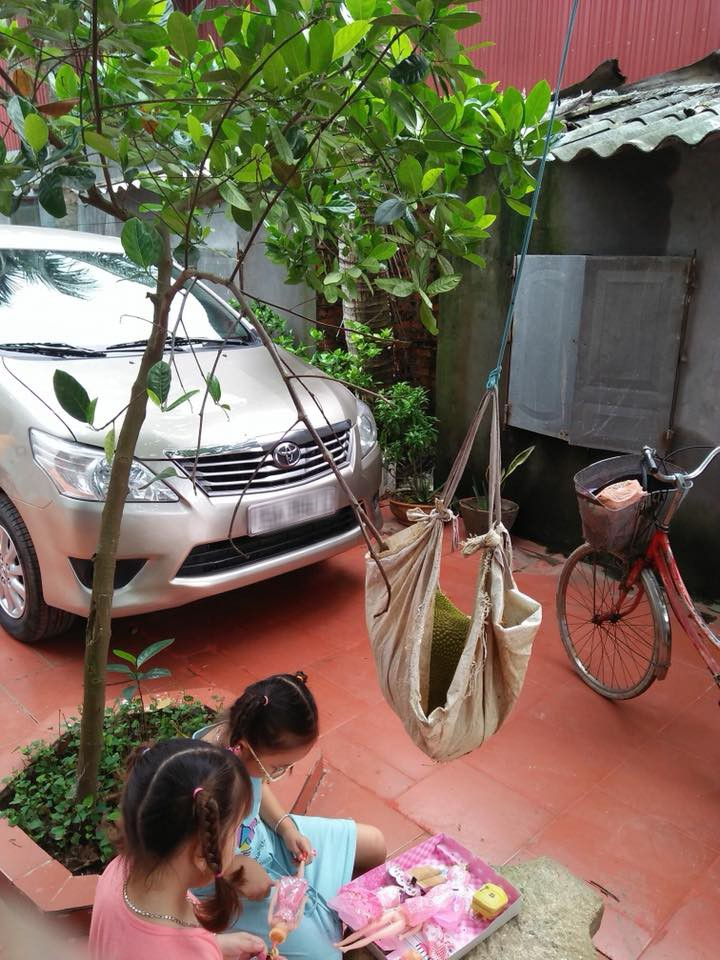 Vườn mít cuối mùa trĩu trịt, có quả nặng gần 40kg phải nhốt vào rọ như chú lợn con, ai nhìn cũng phải thèm thuồng-5