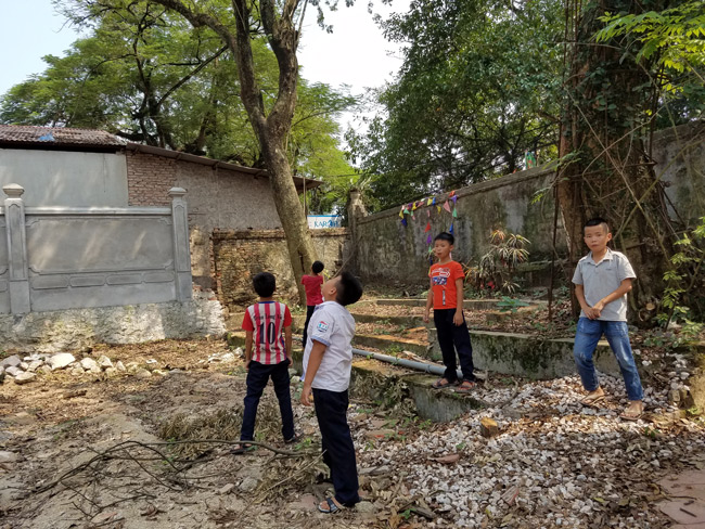 Cận cảnh cây sưa trăm tỷ tại Chương Mỹ, Hà Nội sắp được đấu giá công khai-15