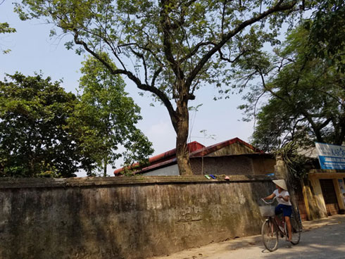 Thủ phủ sưa đỏ: Cả làng xây biệt thự, đua nhau sắm ô tô-6