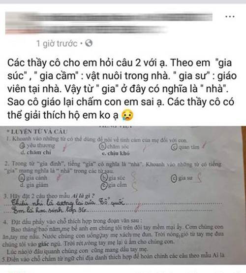 Bài tập Tiếng Việt lớp 3 khiến phụ huynh hoang mang: Trò sai hay cô giáo sai?-1