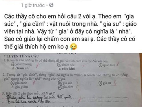 Bài tập Tiếng Việt lớp 3 khiến phụ huynh hoang mang: Trò sai hay cô giáo sai?
