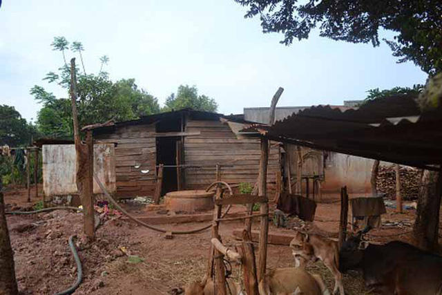 Đau xé lòng những vụ mẹ trầm cảm sát hại con thơ vô tội-4