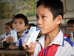 Đấu thầu sữa học đường, công ty đưa giá hàng nghìn tỷ-3