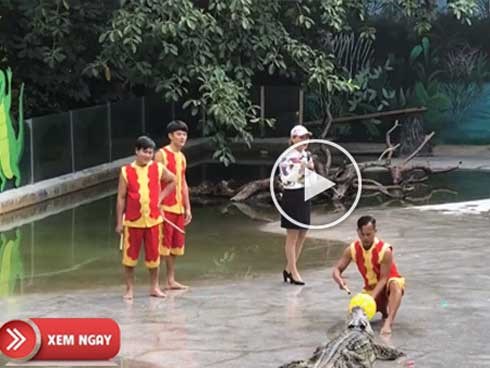 Làm gì cũng phải biết chọn đồng đội tốt mới được