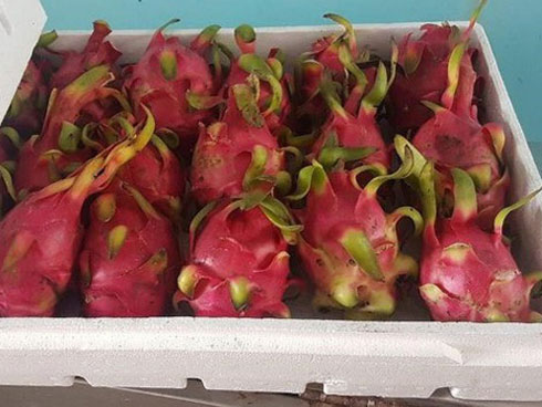 Nỗi đau: Khi hàng Việt triệt tiêu trên kệ hàng siêu thị Việt-3