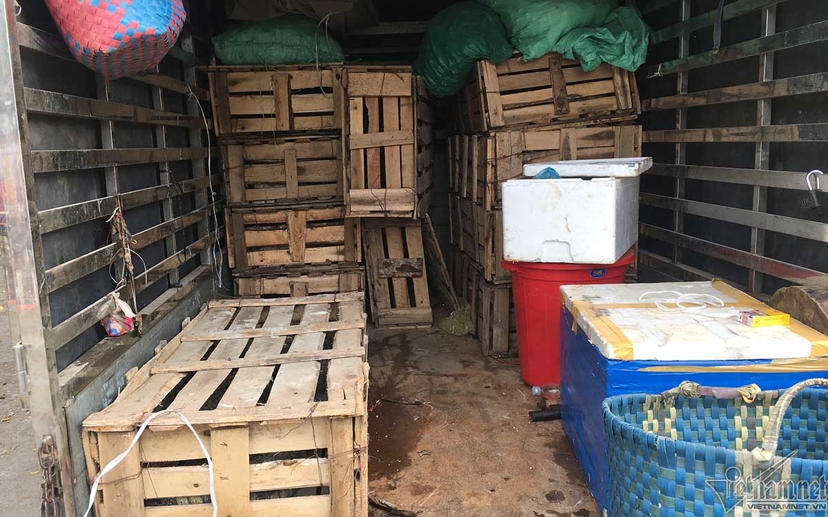 Ớn lạnh cảnh chích điện giết cá sấu ở ‘thủ phủ đá đỏ’-5