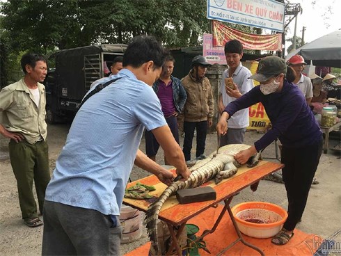 Ớn lạnh cảnh chích điện giết cá sấu ở ‘thủ phủ đá đỏ’