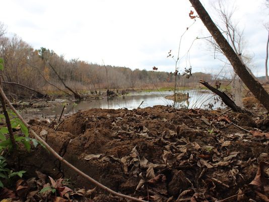 17 năm sau khi bị cá sấu ăn, hài cốt nạn nhân bỗng được tìm thấy, âm mưu khủng khiếp bất ngờ bị bại lộ-10