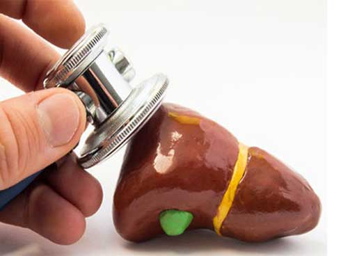 Những người dễ bị mệt mỏi là do gan không khỏe: Đây là những điều bạn nên làm để cứu gan-1