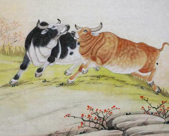 4 con giáp bị xui xẻo đeo bám, tiểu nhân liên tục quấy phá trong cuối năm 2018-1