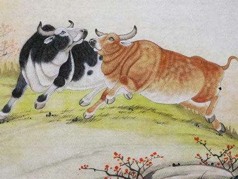 4 con giáp bị xui xẻo đeo bám, tiểu nhân liên tục quấy phá trong cuối năm 2018