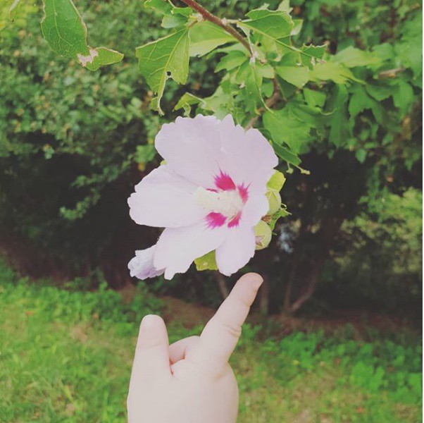 Nữ thần đình đám Chae Rim: Hết thời, bị lãng quên và cuộc sống hiện tại nơi xứ người-11