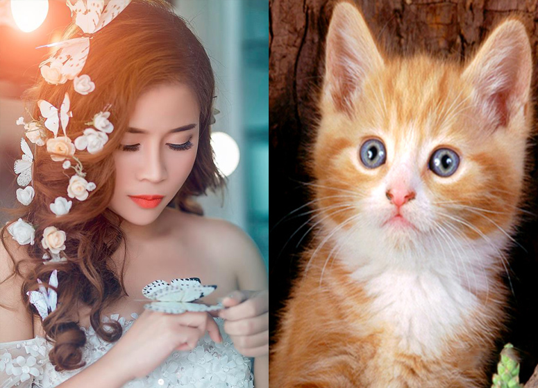 Xem vận mệnh tình duyên, sự nghiệp của 12 con giáp trong năm 2019 cực chuẩn xác-4