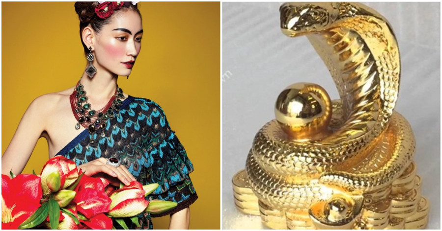 Xem vận mệnh tình duyên, sự nghiệp của 12 con giáp trong năm 2019 cực chuẩn xác-6