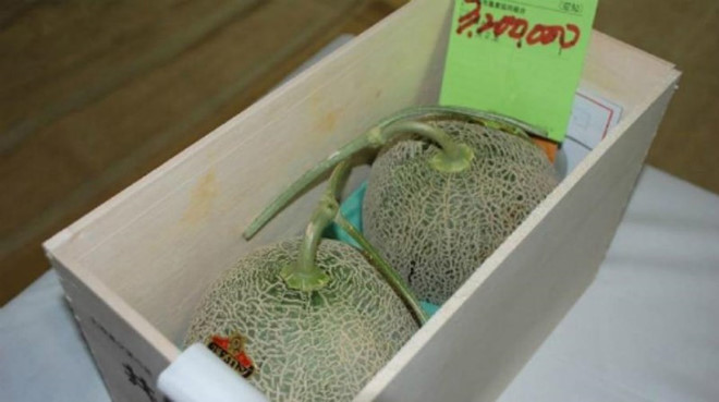 220 triệu đồng/chùm nho: Vì sao người Nhật làm được?-1