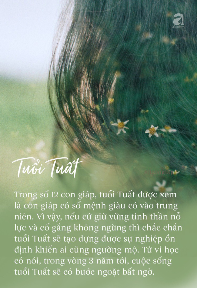 Trong 3 năm tới, 3 con giáp này nếu không là đại gia thì cũng có nhà có xe, cuộc sống sung túc viên mãn-2