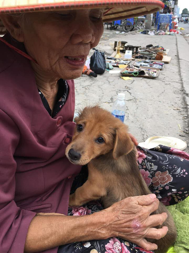 Nụ hôn từ biệt của cụ già và chú chó nhỏ: Câu chuyện không ai cầm được nước mắt giữa phố Sài Gòn-6