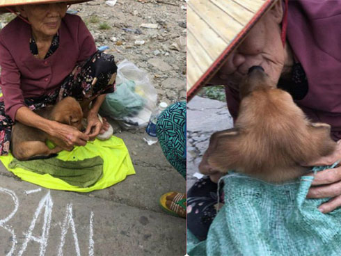 Bà lão trong bức ảnh ôm hôn tạm biệt cậu Vàng: Tui sợ mình chết nên bán nó cho nhà giàu chăm, ai ngờ nửa đêm nó tìm về...-14