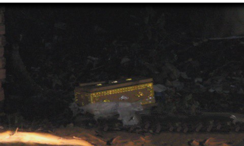 Phát hiện quan tài chứa thi thể thai nhi trong bãi rác-1