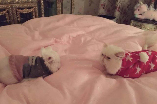 Nhìn lại khối bất động sản khổng lồ của Hoa đán Phạm Băng Băng trước khi bị kết tội trốn thuế-4