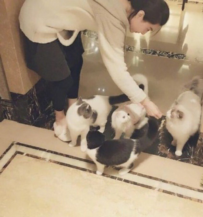 Nhìn lại khối bất động sản khổng lồ của Hoa đán Phạm Băng Băng trước khi bị kết tội trốn thuế-12