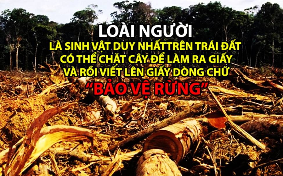 Những phát hiện gây sốc nhất trong lịch sử loài người-5