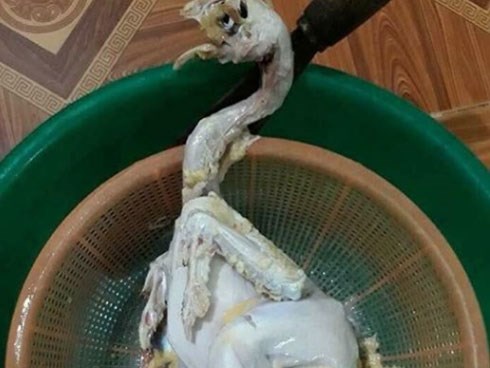 Đăng bức ảnh bóc mẽ vợ không biết làm gà, anh chồng 
