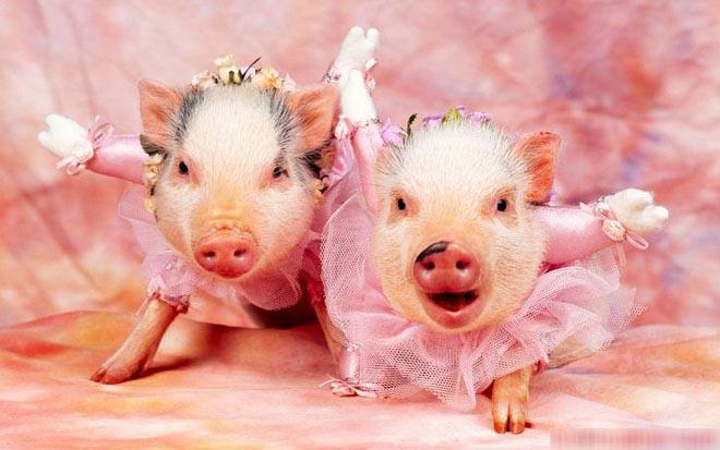 3 nàng giáp sinh ra để mang tài vận đến cho chồng, phúc phần phú quý cho con-2